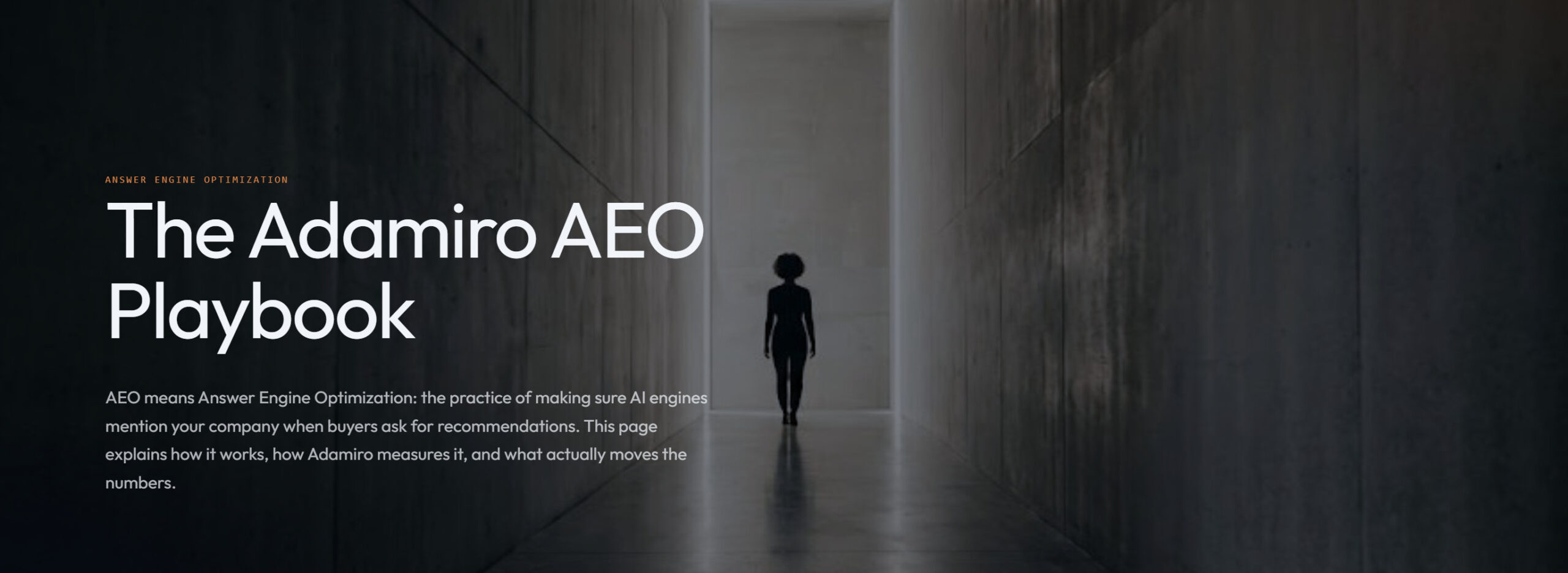 adamiro-aeo-playbook-featured-image